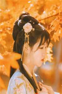 三个人的爱情太拥挤，我选择退出目录