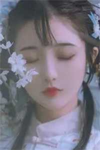 落日与晚风的小说