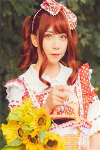 我寄相思于悲风全章阅读