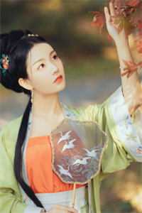 山河一道故人行无弹窗