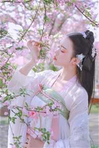 情深几许朝朝暮章节