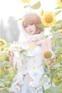 朝露未晞，且让红尘精彩