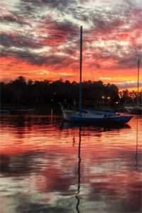 游戏入侵：我靠养猪流平推全局