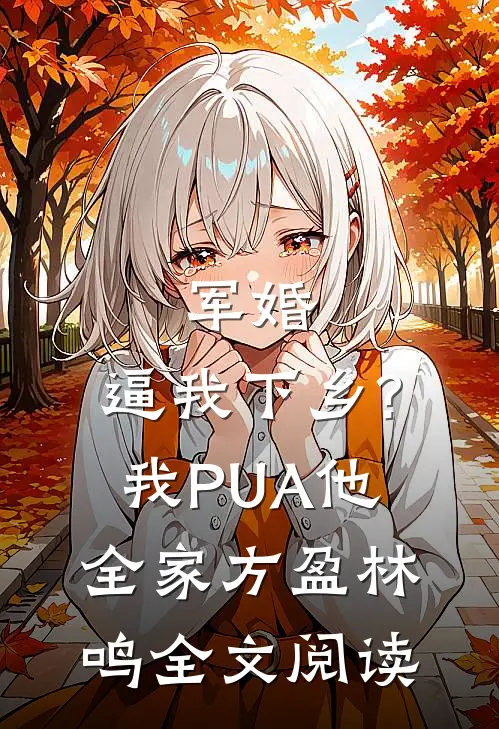 军婚:逼我下乡?我PUA他全家方盈林鸣全文阅读