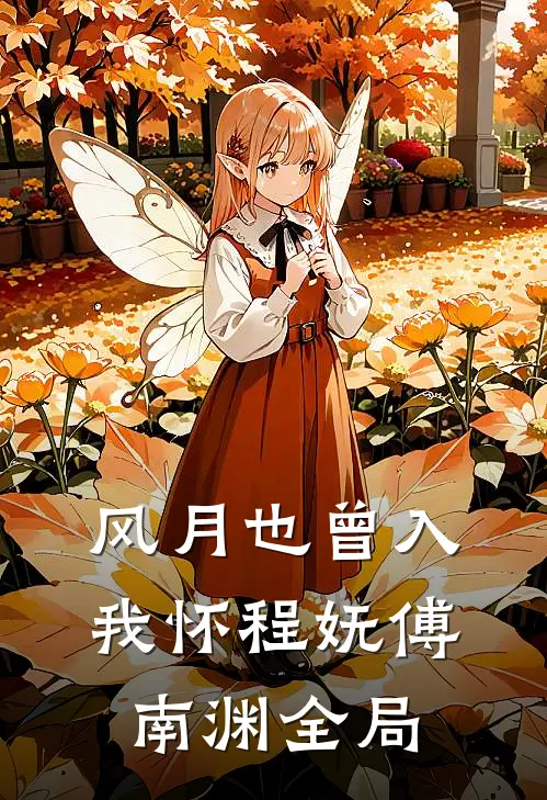 风月也曾入我怀程妩傅南渊全局
