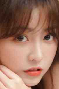 旧野栀枯不再逢的小说