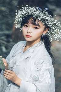 一别青山暮雪深必读文