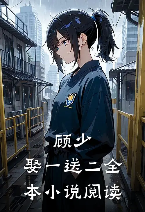 顾少,娶一送二全本小说阅读