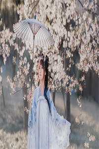 人间万数草为萤良心推荐