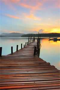 悄悄雪落鬓染霜免费阅读全文