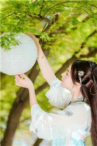 晚风轻拂旧相思小说全文免费