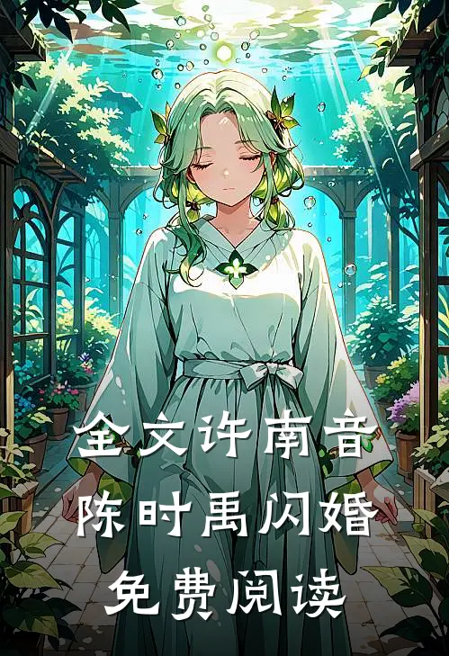 全文许南音陈时禹闪婚免费阅读