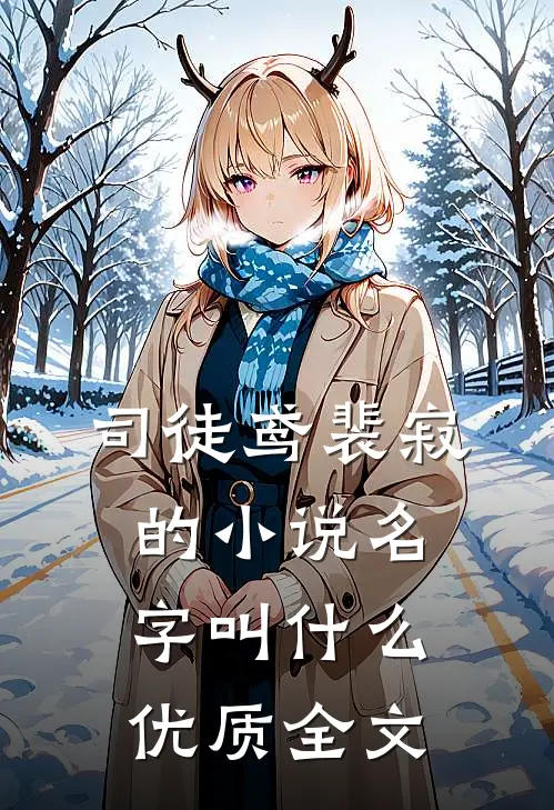 司徒鸢裴寂的小说名字叫什么优质全文