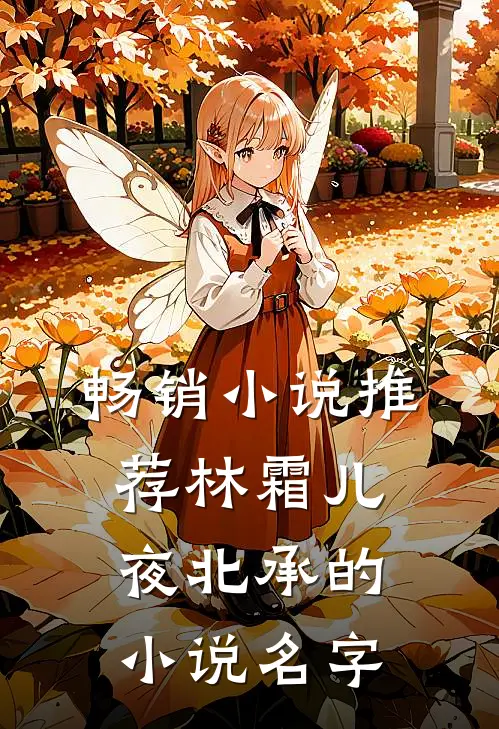 畅销小说推荐林霜儿夜北承的小说名字
