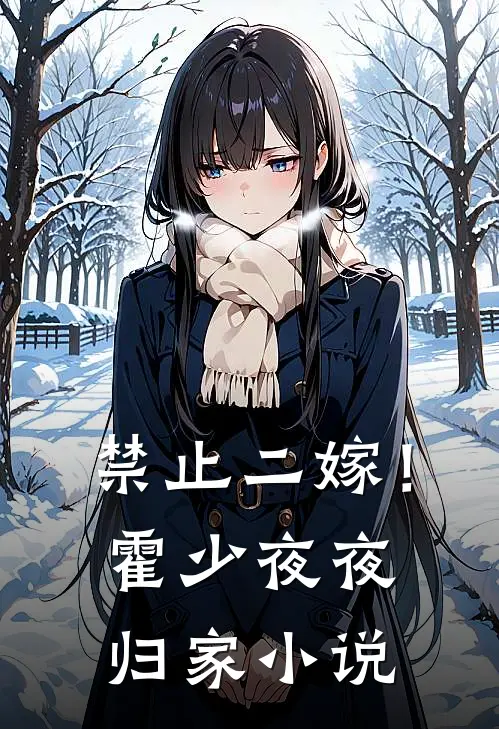 禁止二嫁！霍少夜夜归家小说