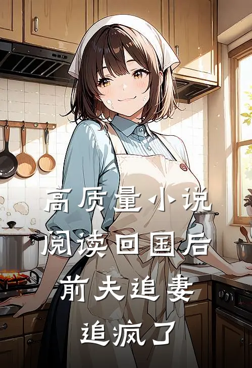 高质量小说阅读回国后，前夫追妻追疯了