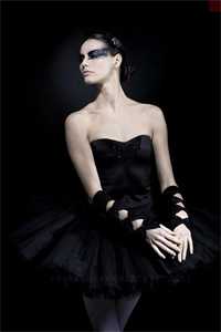 随星，随月，随清风完本