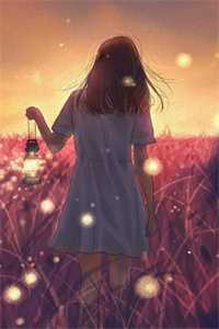 另择他婿后，首辅日夜忙追妻最新章节