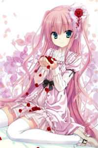 愿摘明月坠衣襟完结