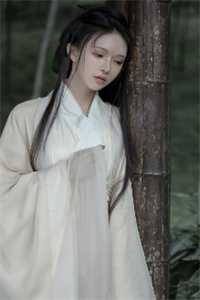 梦断梨花听雨时全文免费