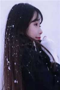 霜雪未烬贺今朝热门小说
