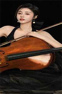 一夜星河入梦来高口碑