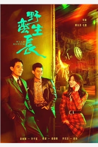 千年一梦终成空小说免费