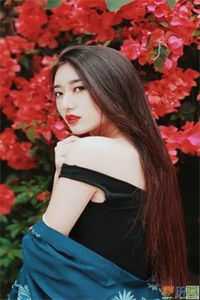 清欢不渡，折柳相离全文免费阅读