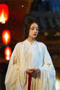 雪落长安不见君章节