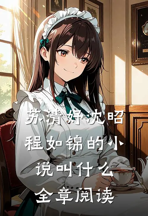 苏清妤沈昭程如锦的小说叫什么全章阅读