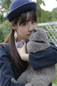 我消失后，他们急疯了在线看