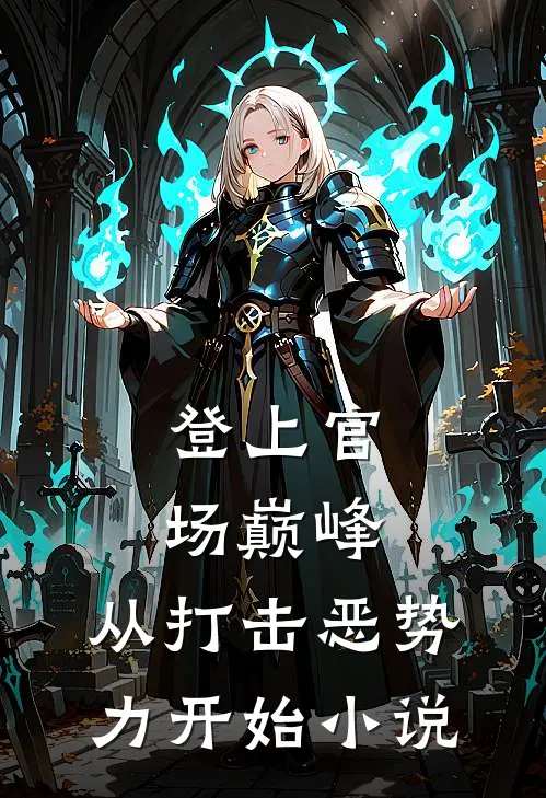 登上官场巅峰，从打击恶势力开始小说
