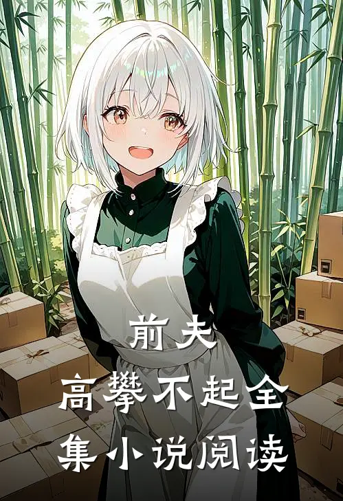 前夫 ,高攀不起全集阅读