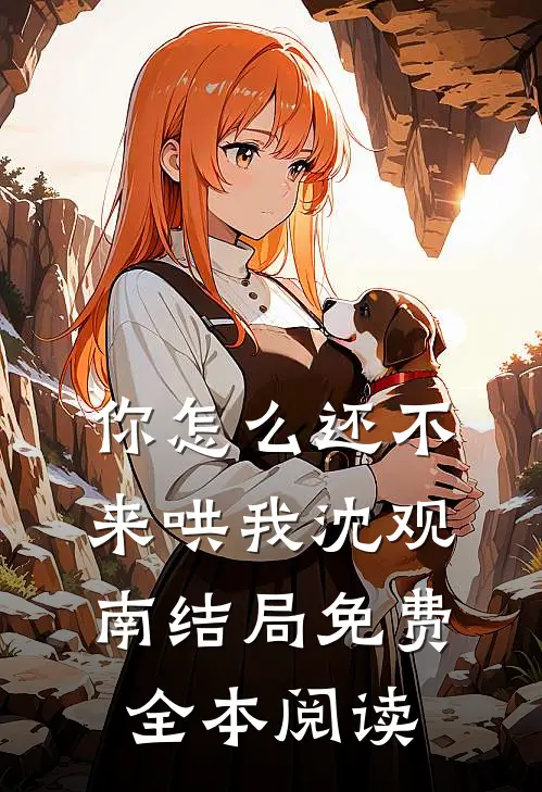 你怎么还不来哄我沈观南结局免费全本阅读