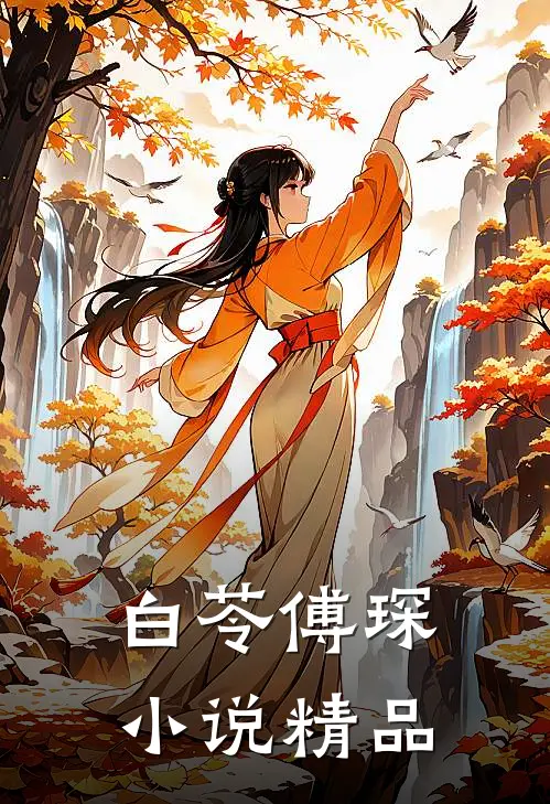 白苓傅琛小说精品