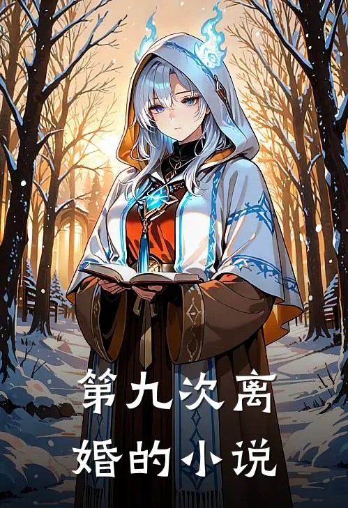 第九次离婚的小说