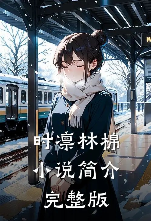 时凛林棉小说简介完整版