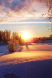 糟糕！新来的大领导是我前男友火爆小说