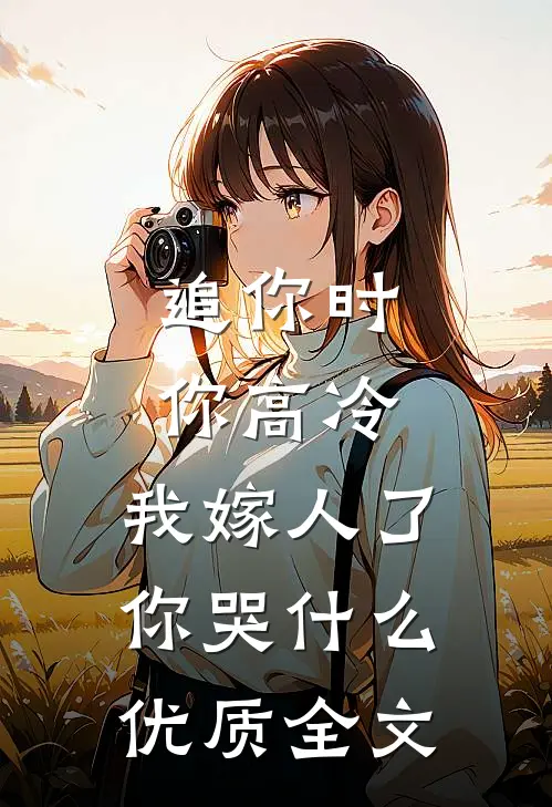追你时你高冷，我嫁人了你哭什么优质全文