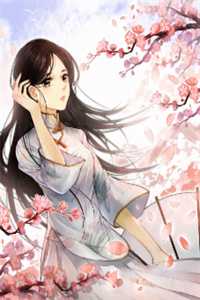 半是回忆半是尘试读