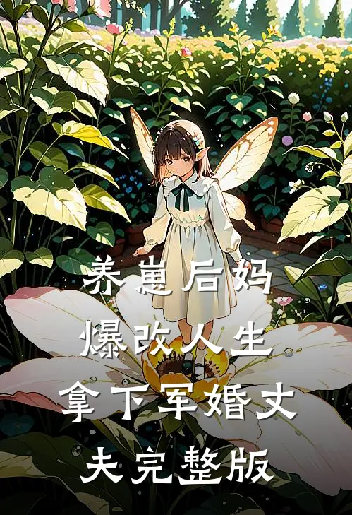 养崽后妈爆改人生，拿下军婚丈夫完整版