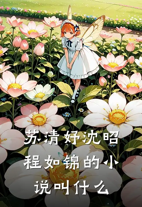 苏清妤沈昭程如锦的小说叫什么