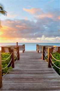 爱意消逝陆行舟沈颜无删减+无广告