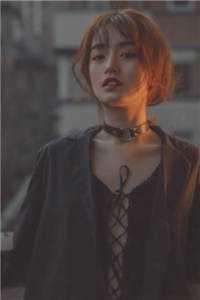 山海相逢月下归连载