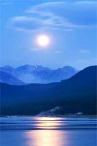 听澜爱尽与卿绝全篇