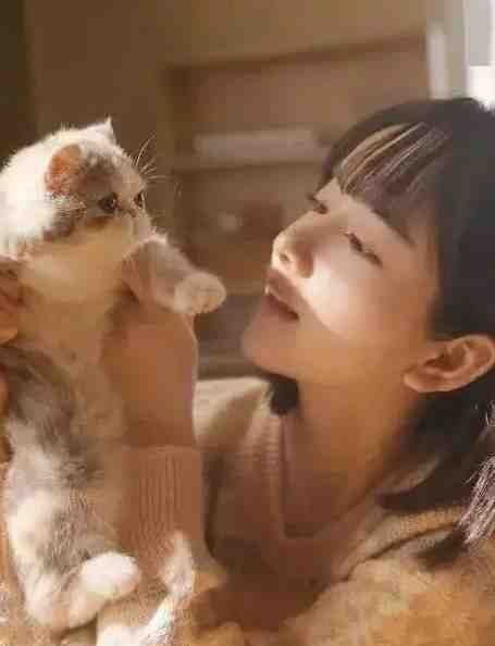 清纯蛇妖火辣辣，纯阳王爷哪里跑完整