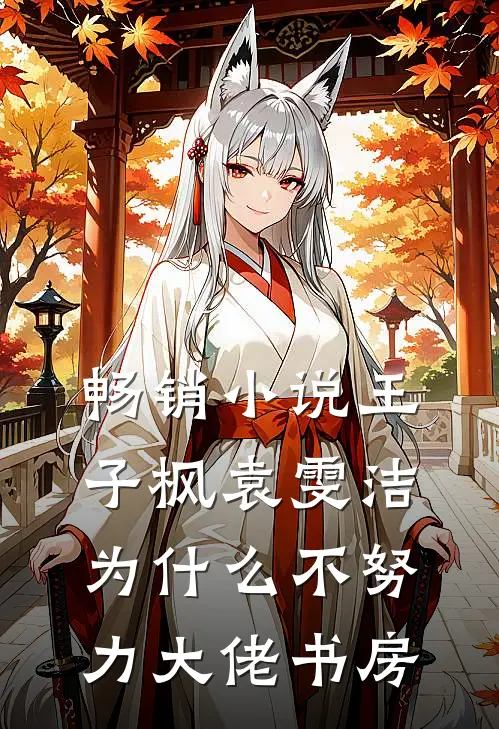 畅销小说王子枫袁雯洁, 为什么不努力-大佬书房