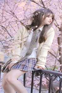 北风起时问归期沈冬行苏知雨完结文