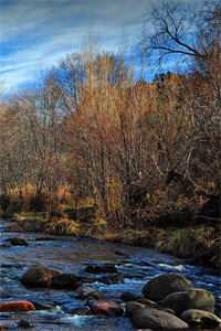 清纯蛇妖火辣辣，纯阳王爷哪里跑高口碑