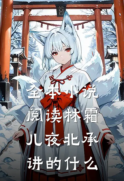 全本小说阅读林霜儿夜北承讲的什么